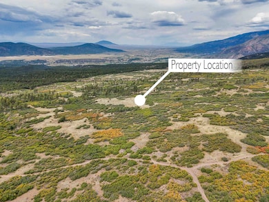 TBD Usfs Forestroad 132a, Questa, NM 87556 - photo 2