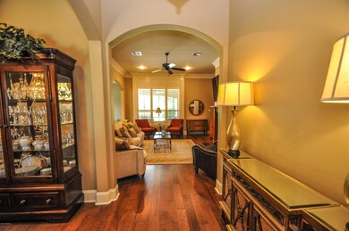 Entry View to Living