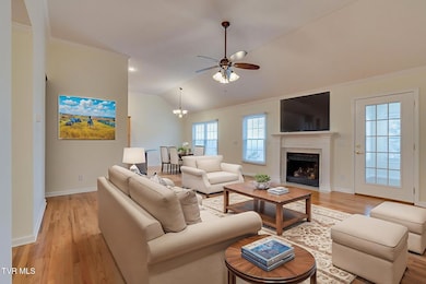 4150 Cooks Point, Kingsport, TN 37664 - photo 3