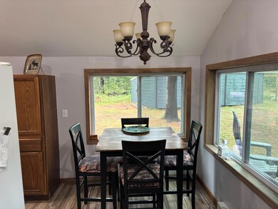 3031 W 72nd St, Baldwin, MI 49304 - photo 5