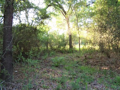 31068 Hegar Rd, Hockley, TX 77447 - photo 6