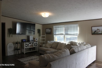 133 Peach Ln, Wartburg, TN 37887 - photo 4