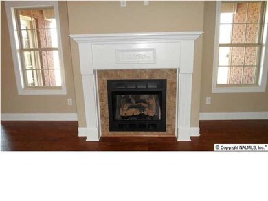 Fireplace in family room.