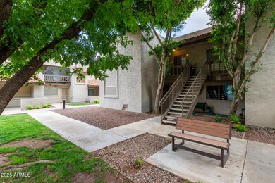05 - Stapley