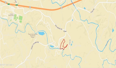 0 Coxe Rd unit 100517165, Tryon, NC 28782 - photo 2