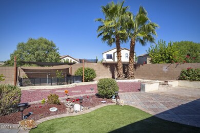 Beautiful Back Yard