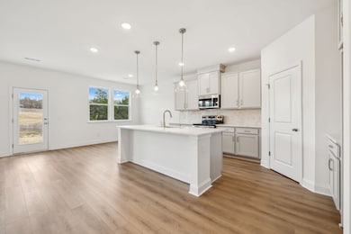 110 Emeline Way, Mt. Juliet, TN 37122 - photo 6