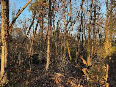 0 Panorama Ave NW, Roanoke, VA 24017 - photo 5