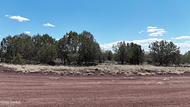 3288/3236 W Cumberland Rd, Williams, AZ 86046 - photo 4