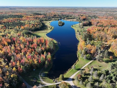 4393 Grossman Rd, Rogers City, MI 49779 - photo 2