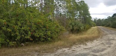 393 Walsh Cir, Other City - In the State of Florida, FL 33972 - photo 4