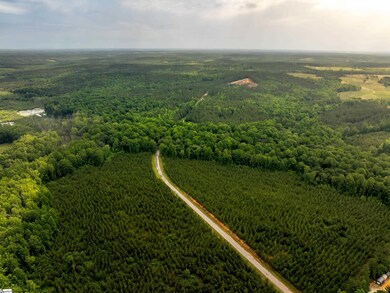 00 Elford Grove Rd unit Tract 1, Jonesville, SC 29353 - photo 4