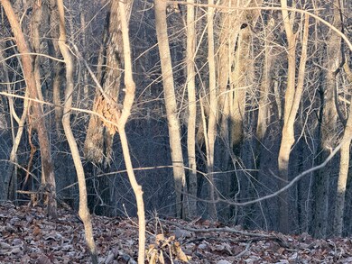 1290 Highway 3249, Stanford, KY 40484 - photo 3