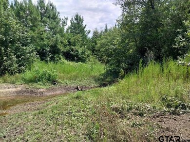 7104 Pin Oak Rd, Big Sandy, TX 75755 - photo 5