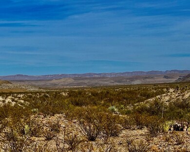 622 Marathon Rd, Terlingua, TX 79852 - photo 5