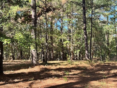 0 County Road 3568, Woodville, TX 75979 - photo 7