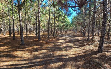 TBD-6 221st Rd, Dowling Park, FL 32060 - photo 7