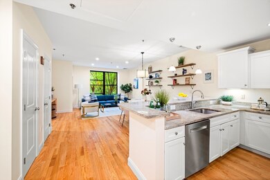 10 Corporal McTernan St unit C206, Cambridge, MA 02139 - photo 3