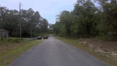 24075 SW Beaver Dr unit 1, Dunnellon, FL 34431 - photo 5