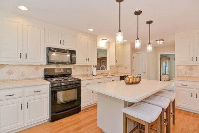 20 Rolling Meadow Dr, Holliston, MA 01746 - photo 6