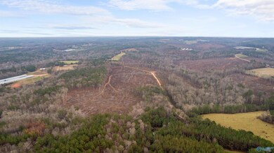 151.13 Acres County Road 673, Roanoke, AL 36278 - photo 6