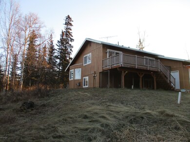 Back yard 9