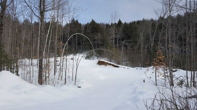 Lot 2 Thurston Pond Rd, Eaton, NH 03832 - photo 2