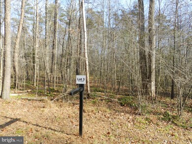 3 Hart Ct, Culpeper, VA 22701 - photo 3