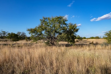 unlisted-address, Mason, TX 76842 - photo 5
