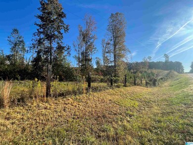 lot 5 Mooney Rd unit 5, Columbiana, AL 35040 - photo 3