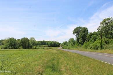 IMG_3805