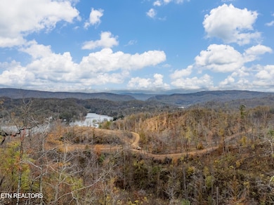 DJI_20241114154309_0151_D-HDR