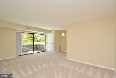 6147 Leesburg Pike unit 205, Falls Church, VA 22041 - photo 4