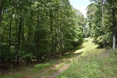 LOT 44 Synacia Dr, Mineral Bluff, GA 30559 - photo 5