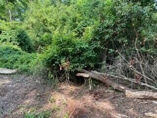 Wooded lot 7e