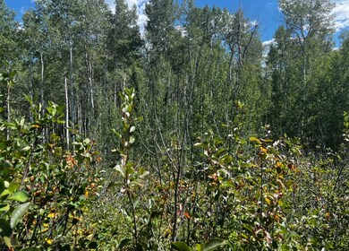 Actual land Lot 102