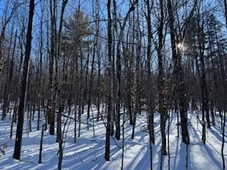 Lot#32 Beech Ridge Ln, West Paris, ME 04289 - photo 6