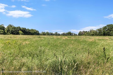 Field