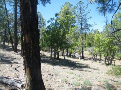 6204 N Wildcat Trail, Show Low, AZ 85901 - photo 3