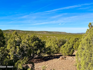 0 Kirkland Dr 20 Acres unit 258779, Concho, AZ 85924 - photo 2