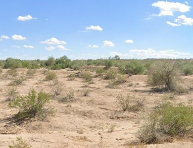 Unnamed Rd, Yucca, AZ 86438 - photo 5