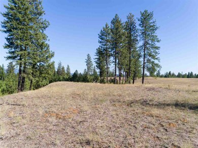 28107 N Perry Rd, Chattaroy, WA 99003 - photo 7