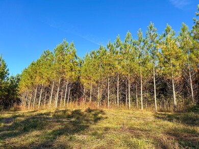 0 Jordon Rd unit 25580264, Waverly Hall, GA 31831 - photo 5