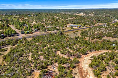 3656 Zane Grey Trail unit 60, Overgaard, AZ 85933 - photo 5