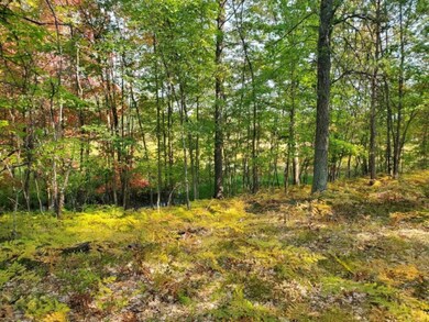 0 N Beaver Trail, Lilley Township, MI 49309 - photo 4