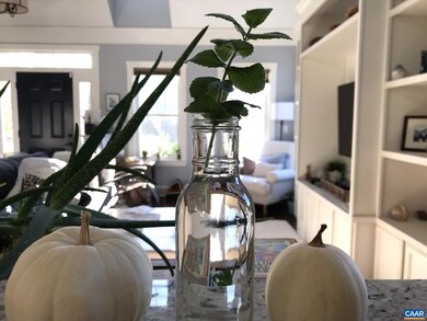 266 Ridgeview Dr, Ruckersville, VA 22968 - photo 7