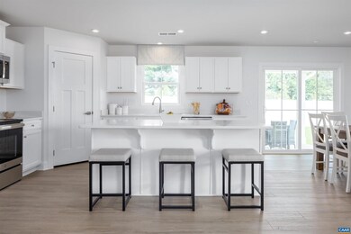 272 White Sands Blvd, Barboursville, VA 22923 - photo 5