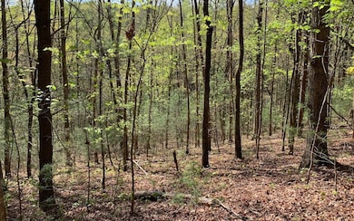 LT 1 Dover Highlands Trail, Ellijay, GA 30540 - photo 3