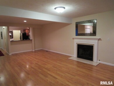 4509 N Thornhill Dr unit 102C, Peoria, IL 61615 - photo 4