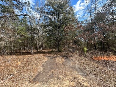 000 Rabbit Run Rd, Baconton, GA 31716 - photo 4